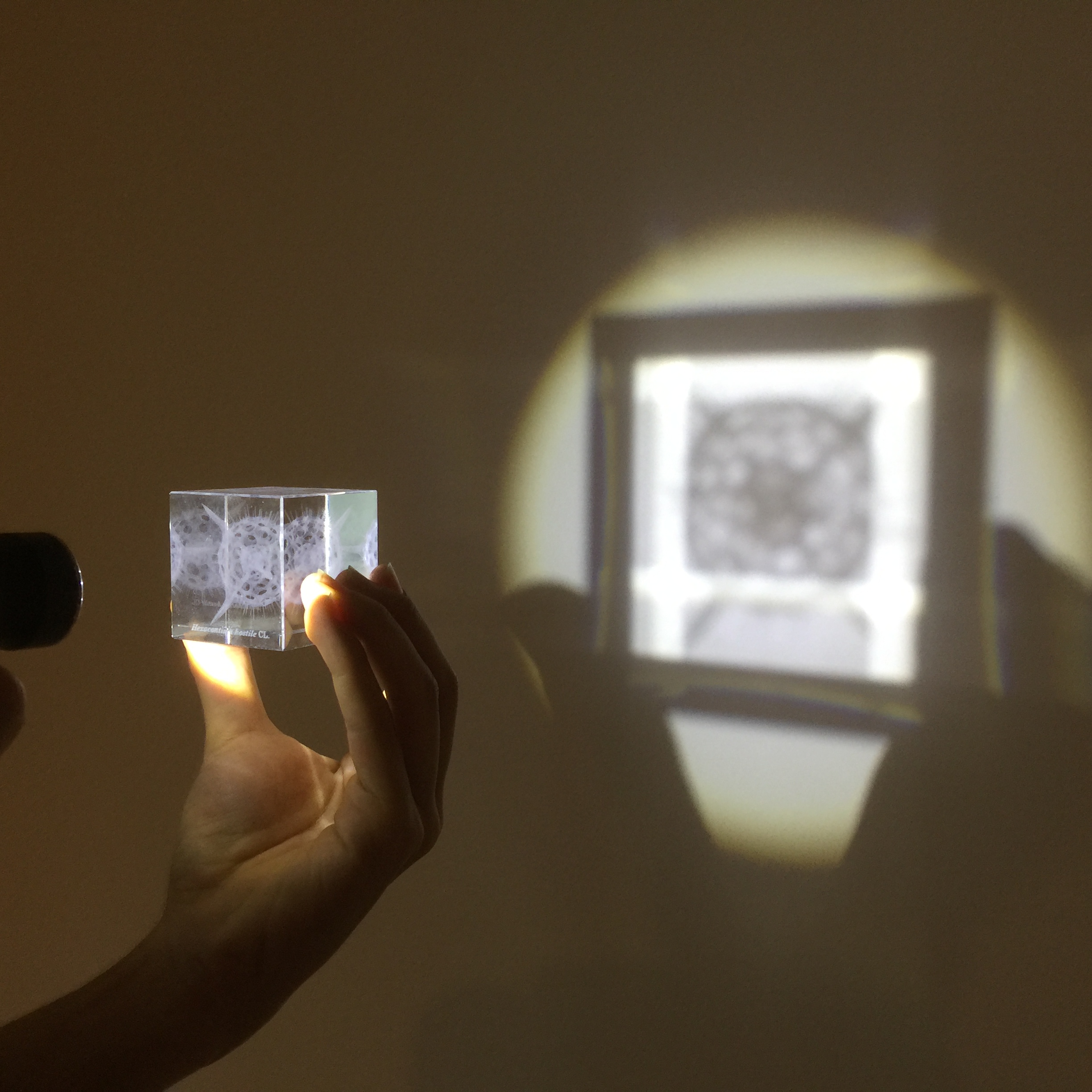 Sola cube Micro　光の遊び