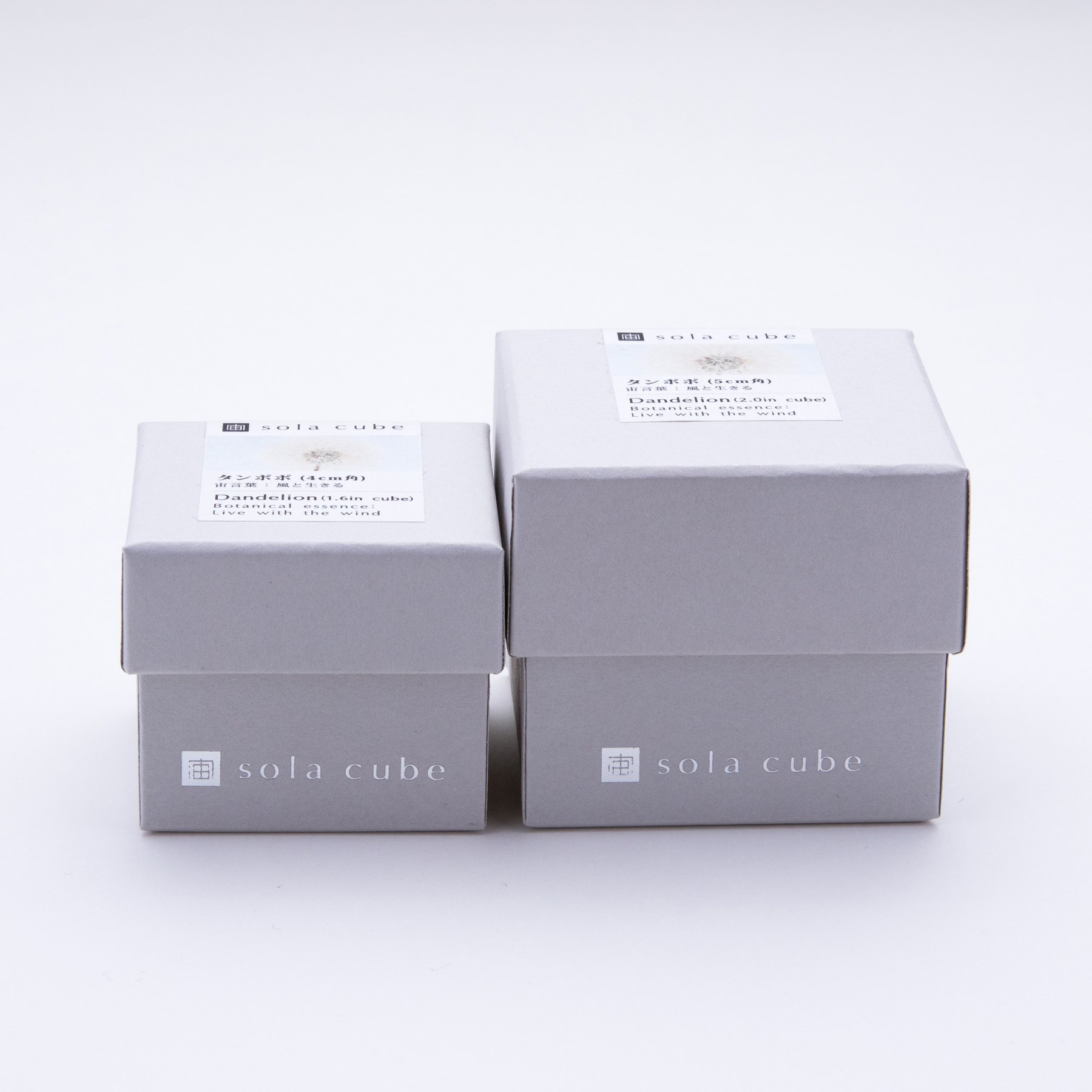 Sola cube パッケージ - 各種１つ200円(税抜)