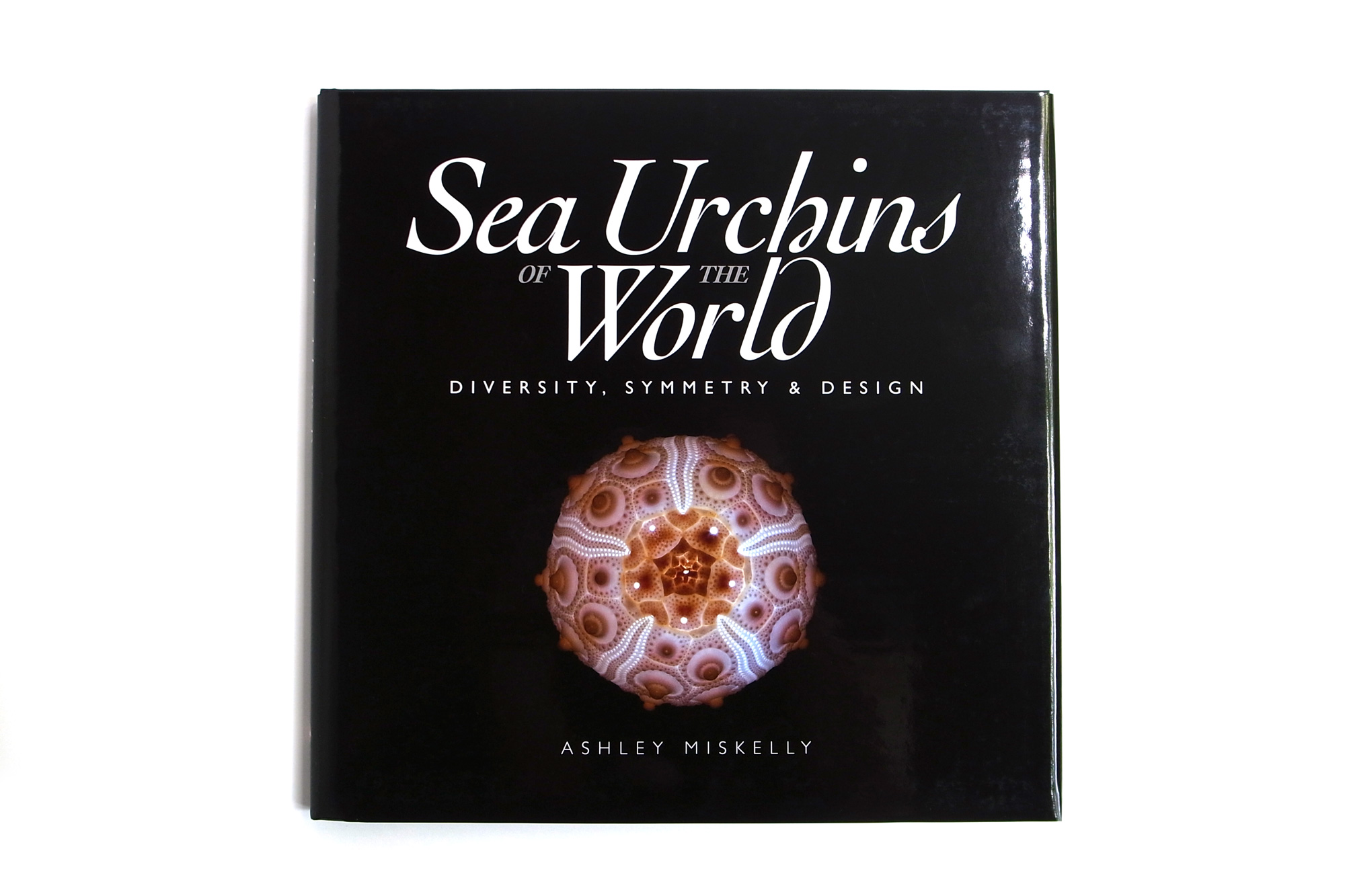 Sea Urchins of the World